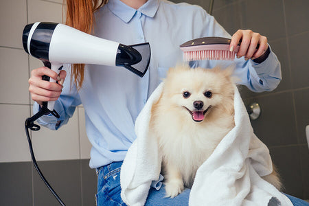 Pet Grooming