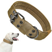 AdjustableCollar Leash Dog Chain Belt