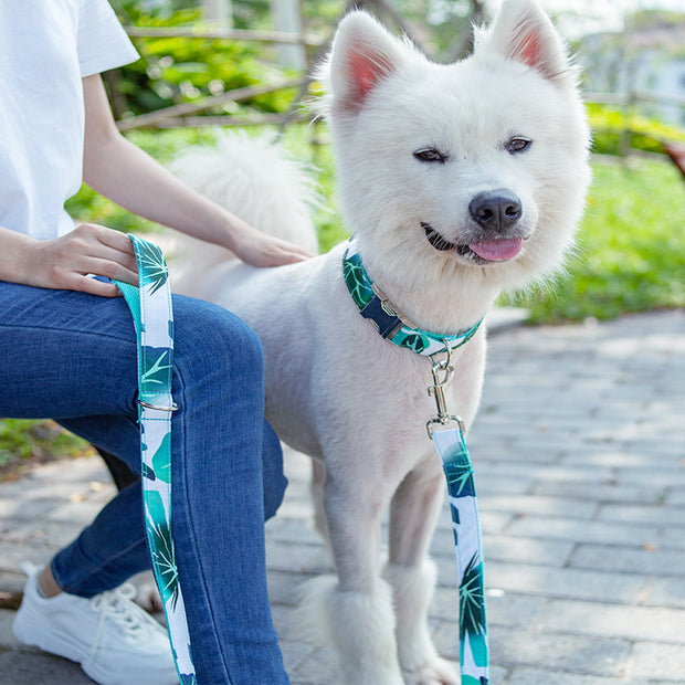 Traction Belt Dog Rope Walking Set