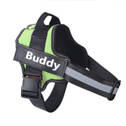 Personalized Dog Harness